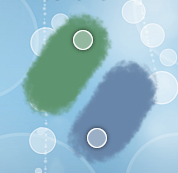 Simulate Multitouch